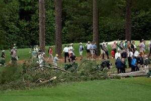 42177 fans escape as trees fall at golf tournament