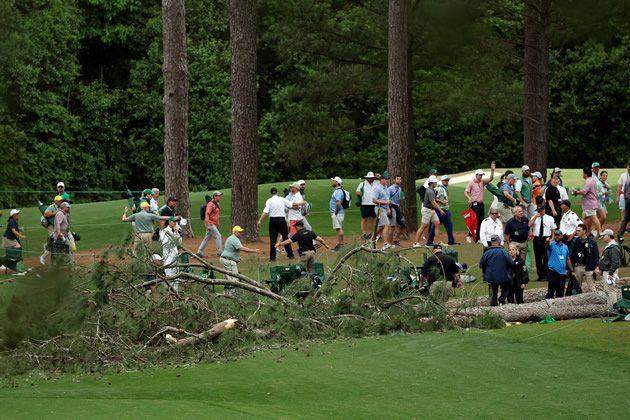 42177 fans escape as trees fall at golf tournament