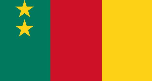 42340 cameroon begins online visa application service april 30