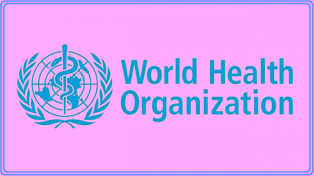 42388 maternal mortality still a challenge in north central nigeria who