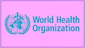 42388 maternal mortality still a challenge in north central nigeria who