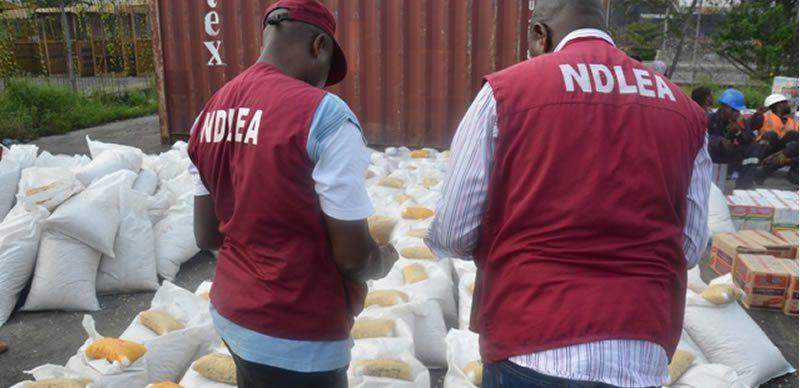 43072 ndlea arrests surinamese with 9 9kg cocaine concealed in condoms