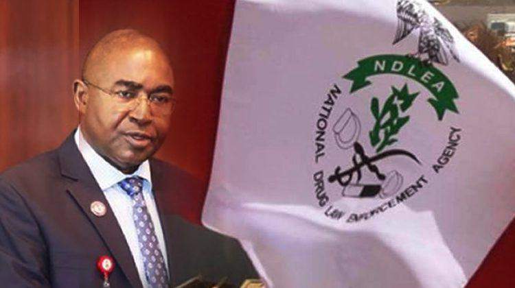 43472 37 drug peddlers users convicted in kano ndlea