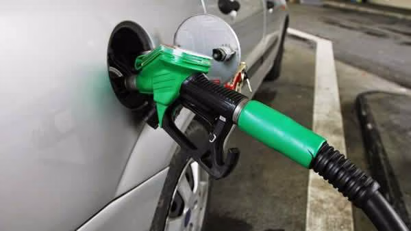 45618 fuel subsidy oil theft gulped n29tn says fg