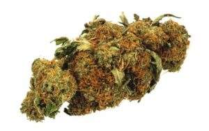 46076 canada court upholds quebec ban on homegrown cannabis