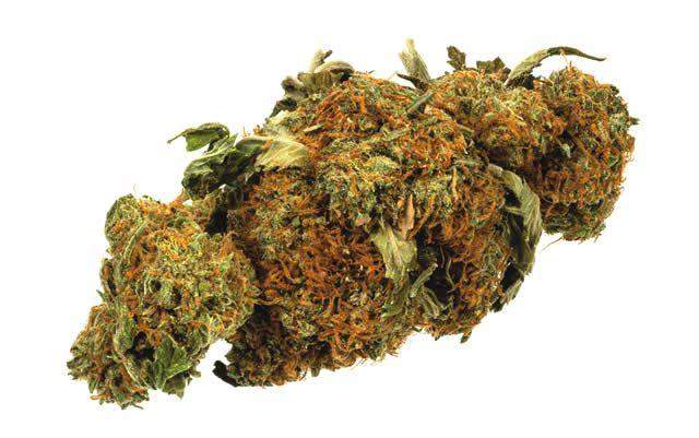 46076 canada court upholds quebec ban on homegrown cannabis