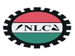47959 plots to derail labour party will be resisted nlc