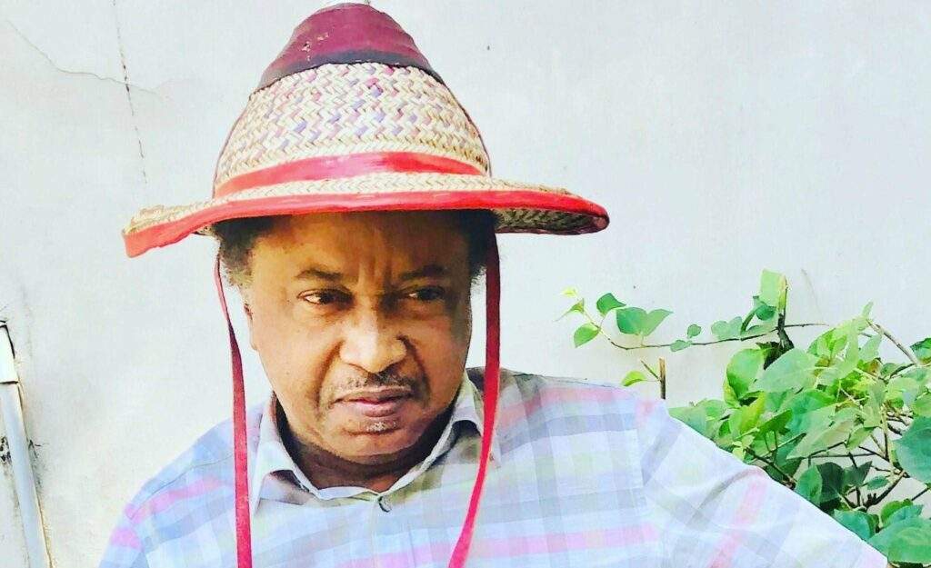 48027 muslims also killed in northern kaduna their leaders remain silent shehu sani