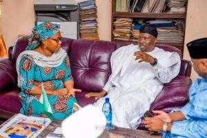 48722 adamawa rerun inec to present certificate of return to fintiri today