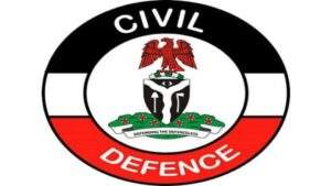 48891 gov poll nscdc boss summons adamawa commandant