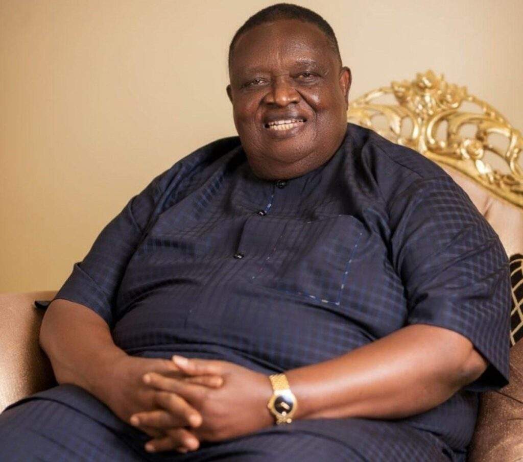 48902 iwuanyanwu emerges president general of ohanaeze ndigbo worldwide