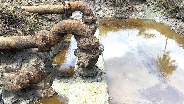 49764 oil firms selling assets to escape justice accountability niger delta group
