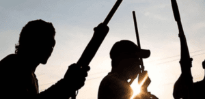 51523 gunmen abduct npc official demand n500m ransom