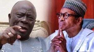 53181 afenifere asks fg not to conduct census