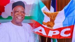 53315 apc vice chair sues adamu omisore over nec meeting