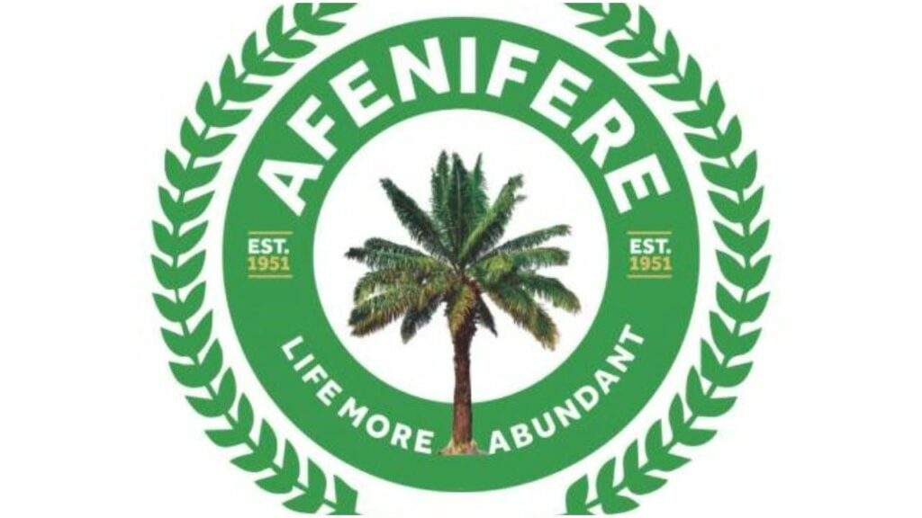 53380 peter obi vs tinubu resolve petitions before may 29 afenifere urges tribunal