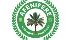 53380 peter obi vs tinubu resolve petitions before may 29 afenifere urges tribunal
