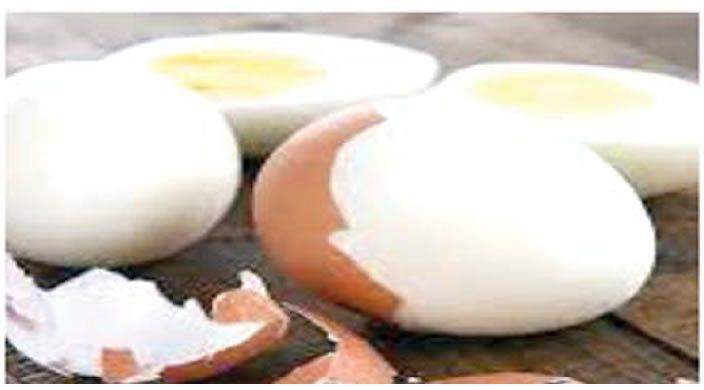 54961 establish egg powder factories to tackle glut agriculturist tells govt