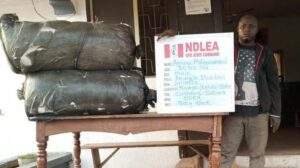 54965 ndlea uncovers factory supplying akuskura to cameroon chad