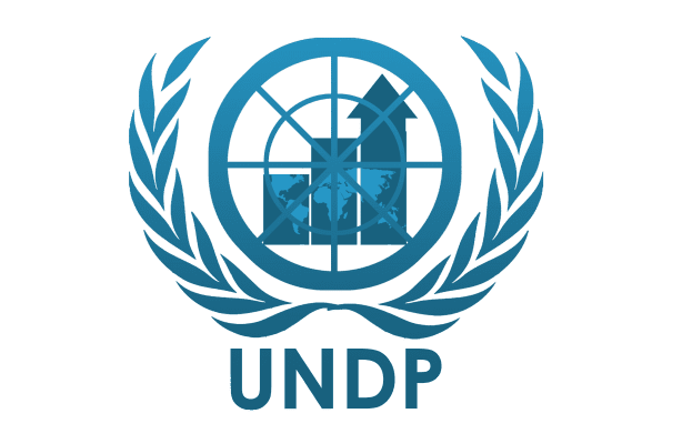 55158 undp wipo canvass robust ip system