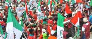 55454 nlc calls for massive recruitment to boost jigawas civil service