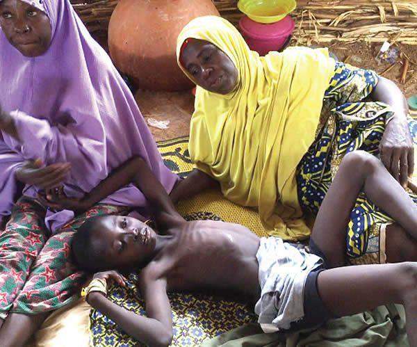 55687 nigeria records 532 meningitis cases 124 deaths
