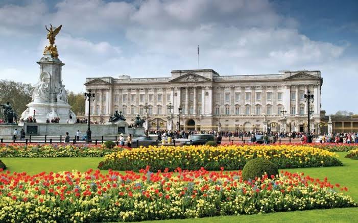 56325 police detain man after shotgun cartridges were thrown into buckingham palace