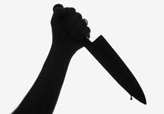 56941 kano teenager stabs mother to death over disagreement
