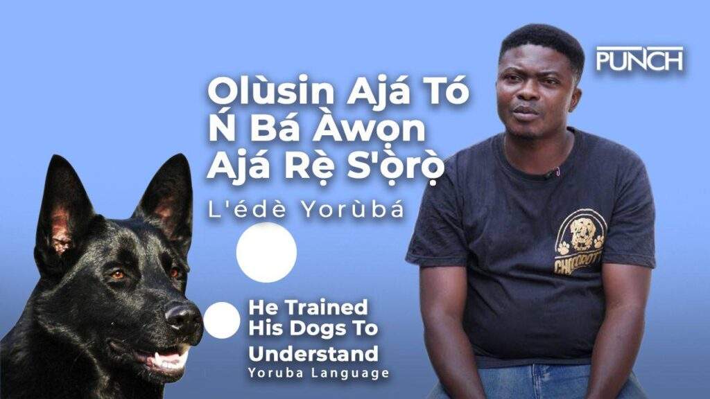 57169 ede wa ni e pade oloruntoba olusin aja to n ba awon aja re soro lede yoruba