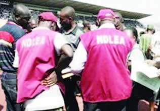 58628 ndlea seizes 8852kg cannabis following gun duel in lagos