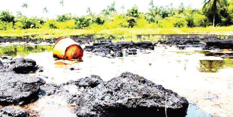 60372 fg approves gives reasons for n327bn ogoni cleanup others