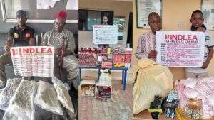 61128 ndlea apprehends 218 suspects and seize 5610kg of illicit drugs in kaduna