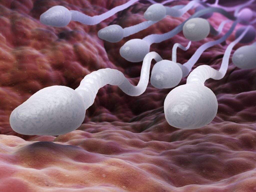 62262 infertility men responsible for 60 per cent expert bares it all