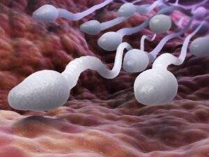 62262 infertility men responsible for 60 per cent expert bares it all