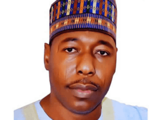 62991 borno state wins 1 2 million in primary healthcare leadership challenge
