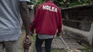 64310 ndlea foils uk bound meth shipment and arrests ring leader confiscates n560m worth of drugs