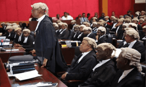 64831 apm to call single witness in tribunal petition proceedings