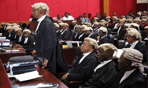 64831 apm to call single witness in tribunal petition proceedings