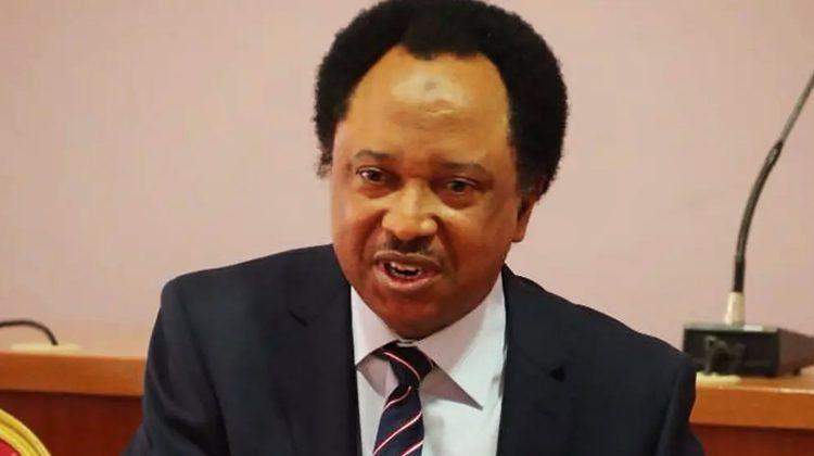 65981 former lawmaker shehu sani defends senator kashim shettimas double nomination
