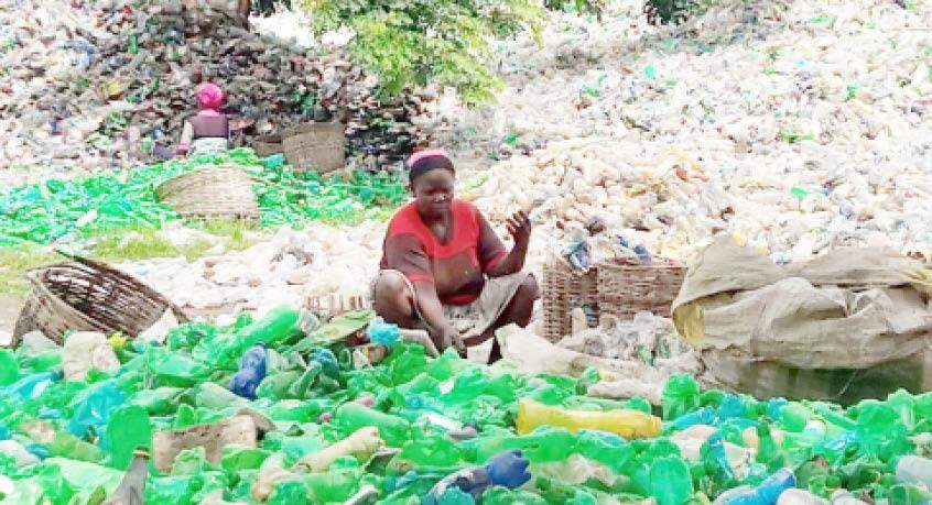 67220 abujas female scavengers resiliently survive on waste