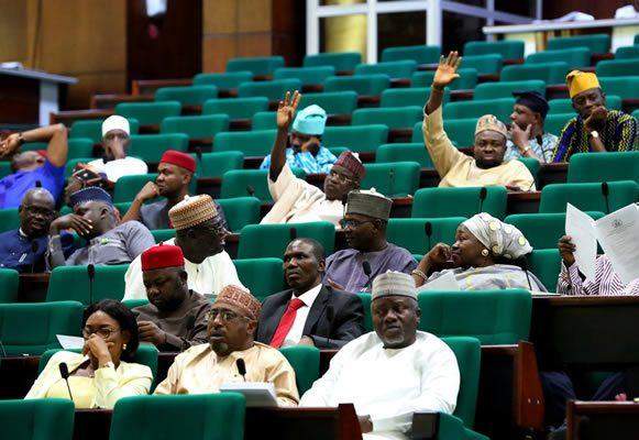 68550 updated reps back subsidy removal urge patience with tinubu