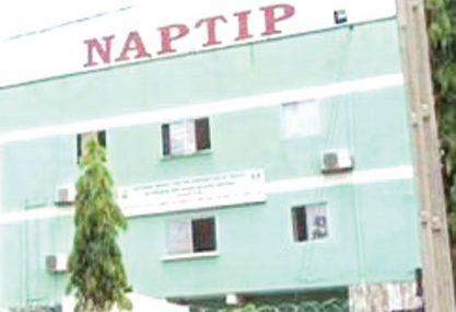 69037 naptip sacks director four officers for misconduct
