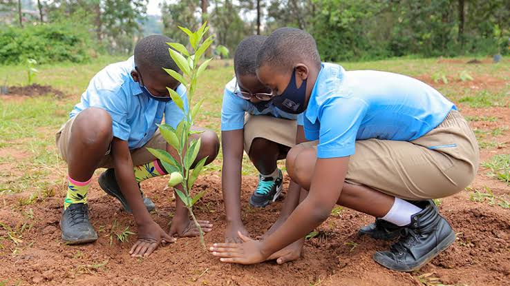 74202 african child day students empowered with eco friendly education