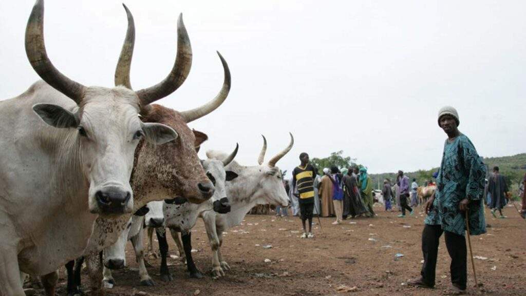 74690 police force foils terrorist threats recovers stolen livestock in katsina