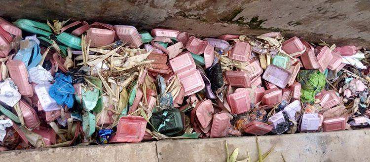 79106 scientist warns against indiscriminate disposal of waste to avert disaster