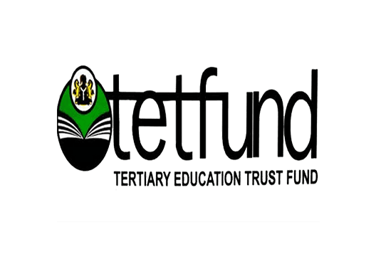 80857 tetfund vows to bridge digital skills hole