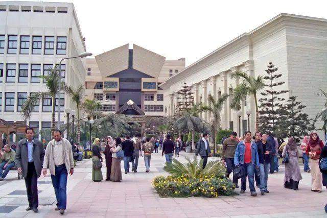 81248 egypt to build more polytechnic universities amid skilled worker shortage
