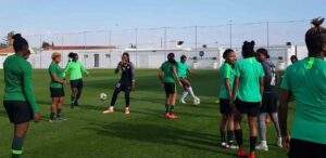 81444 2023 wwc super falcons test might against lions fc