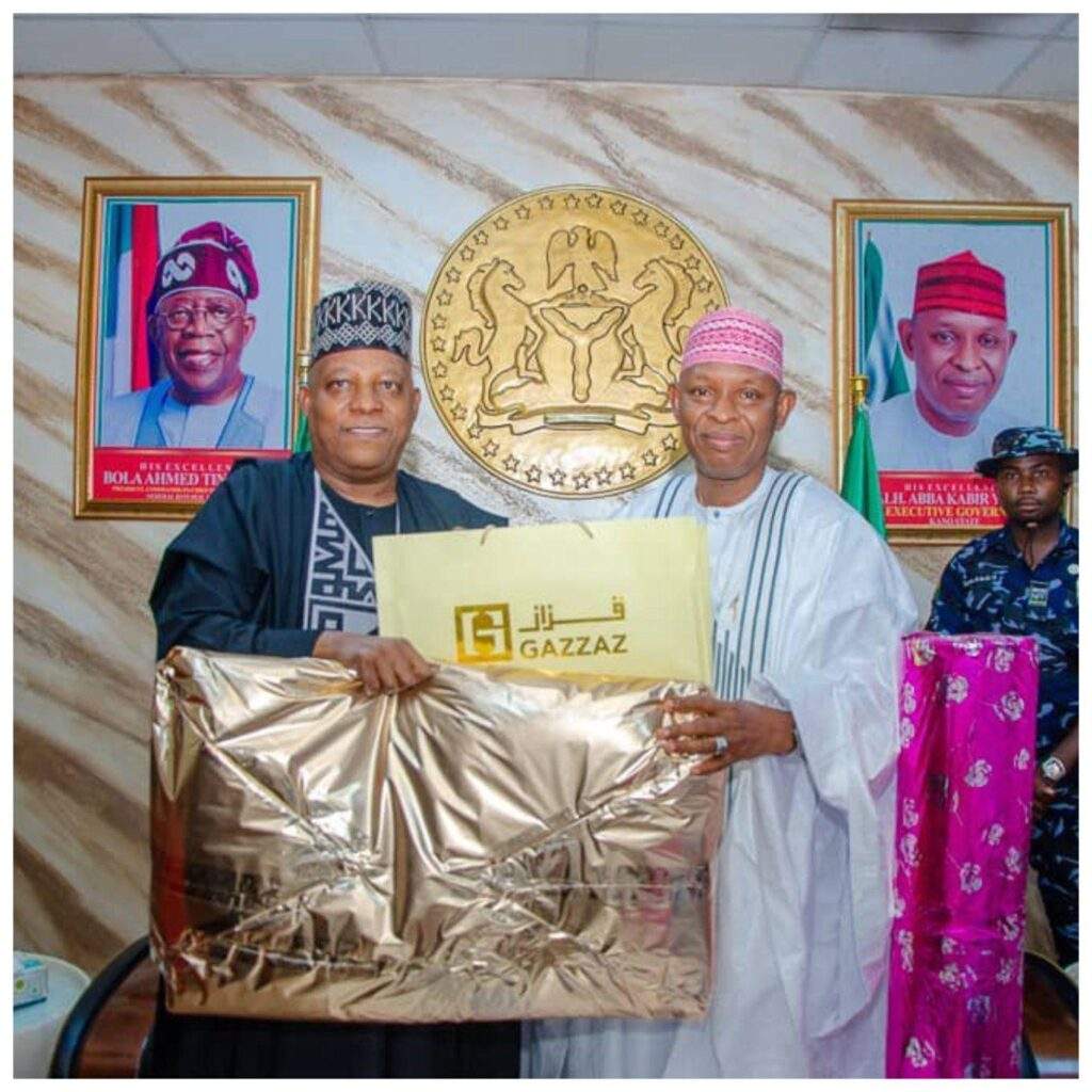 83105 well end insecurity poverty in north shettima assures