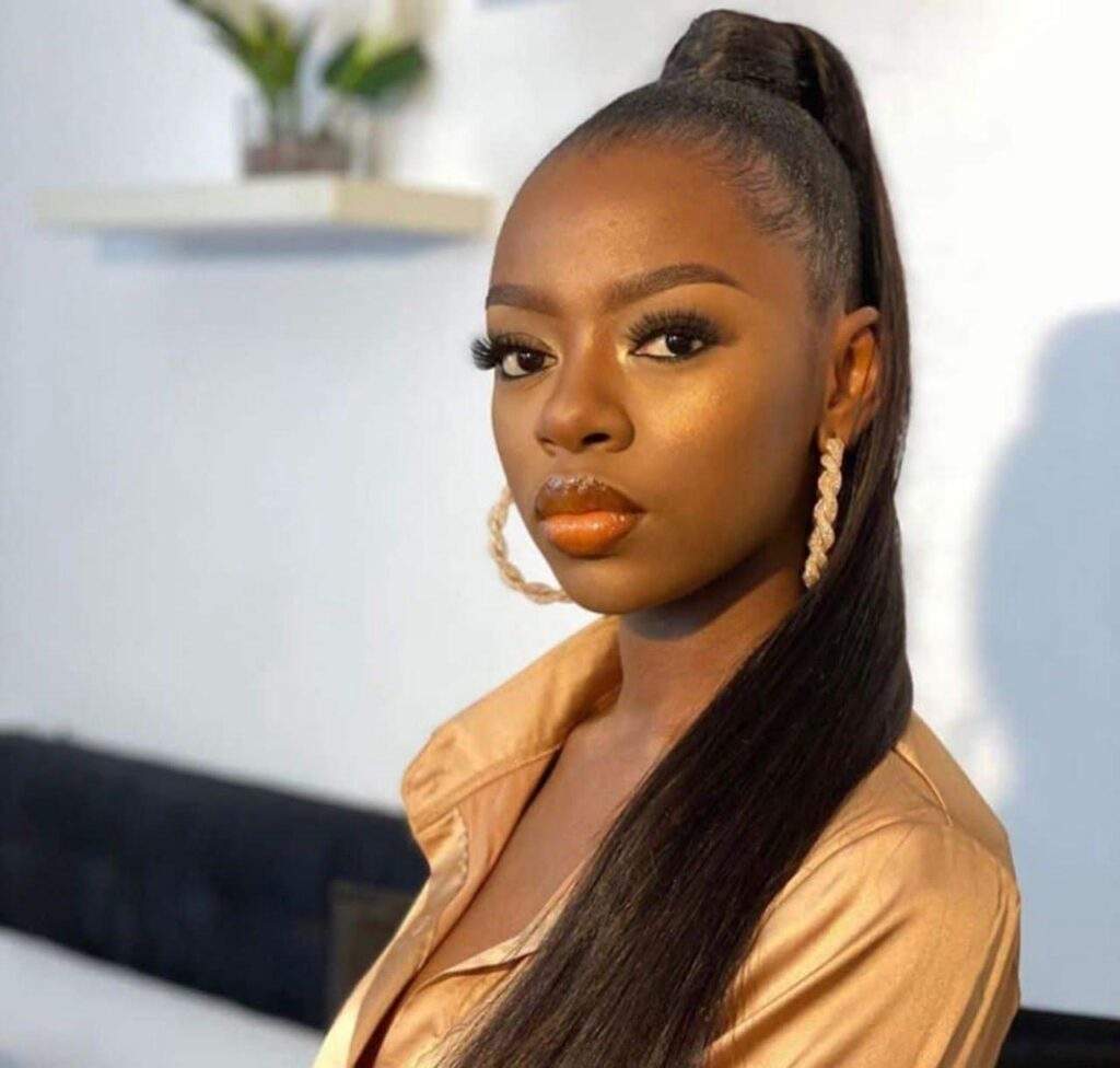 83412 how i almost gave up on film production bbnaijas diane